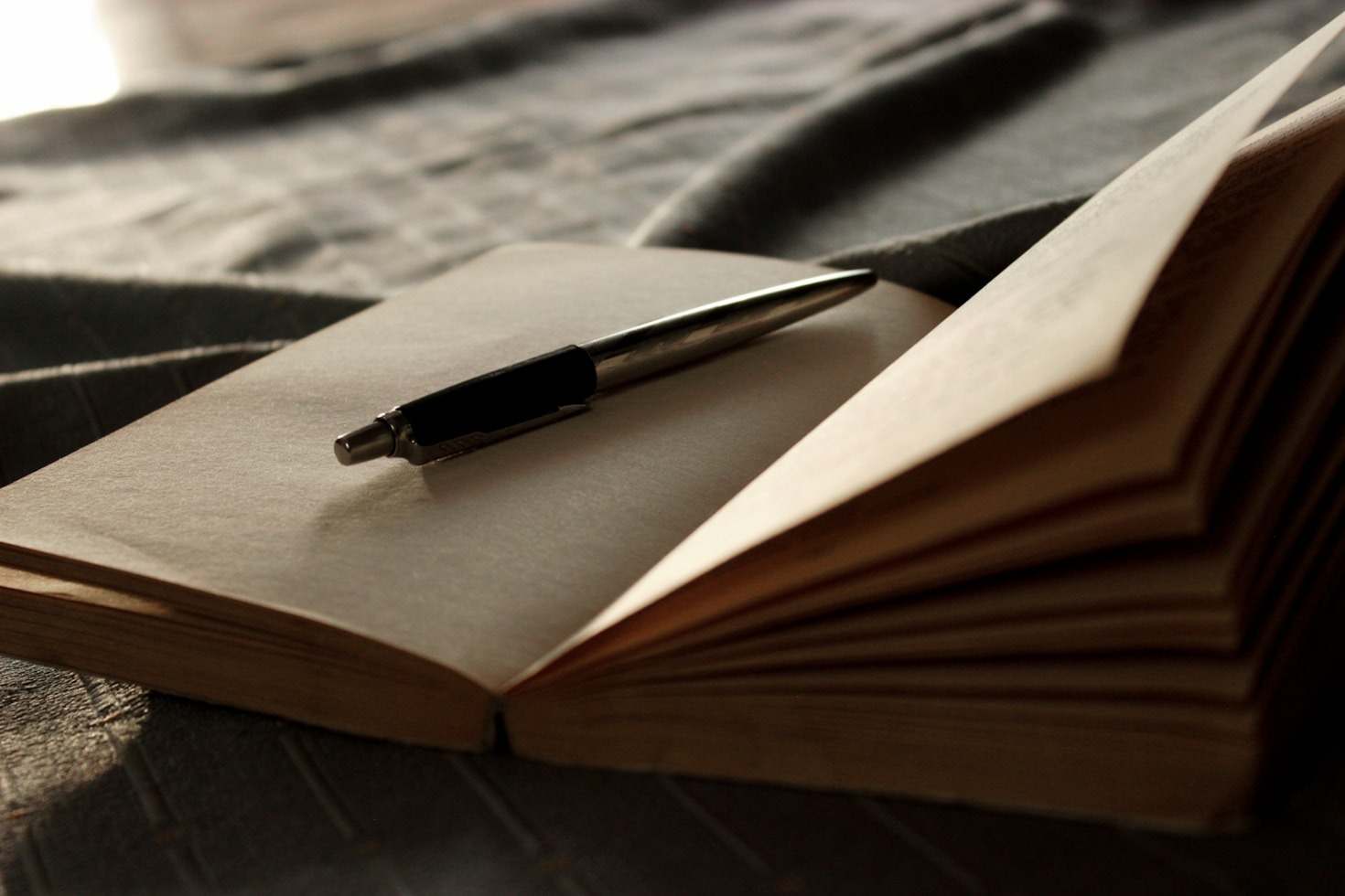 How The Era Supports Lifelong Learning and Curiosity